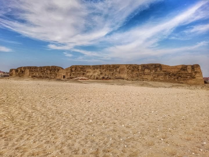 منظر عام للشونة منظر عام للشونة