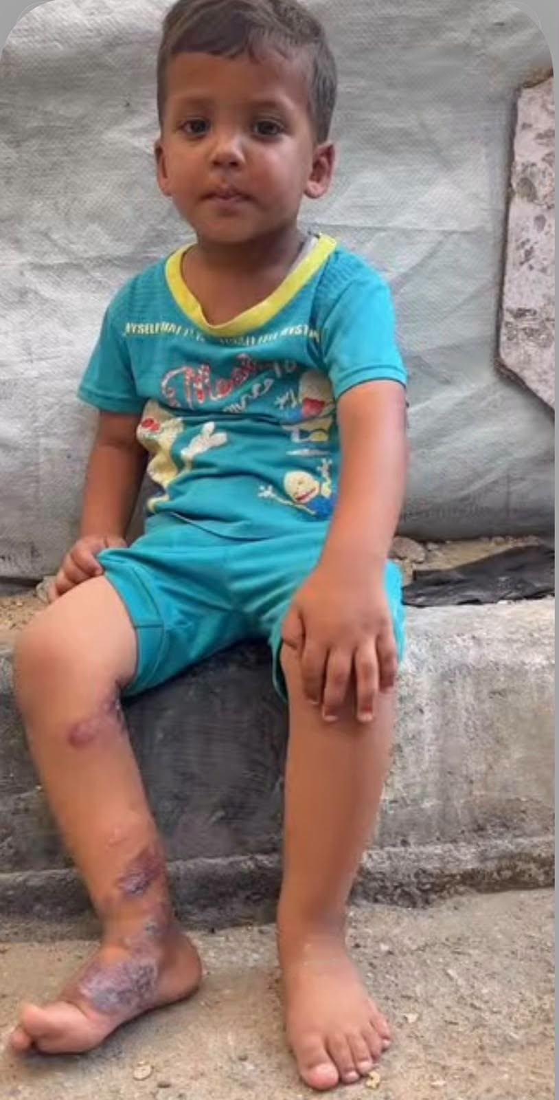 محمد عودة
