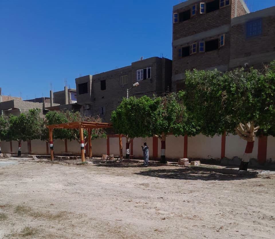 رفع مخلفات الأشجار داخل المدارس ونظافة العزب والنجوع