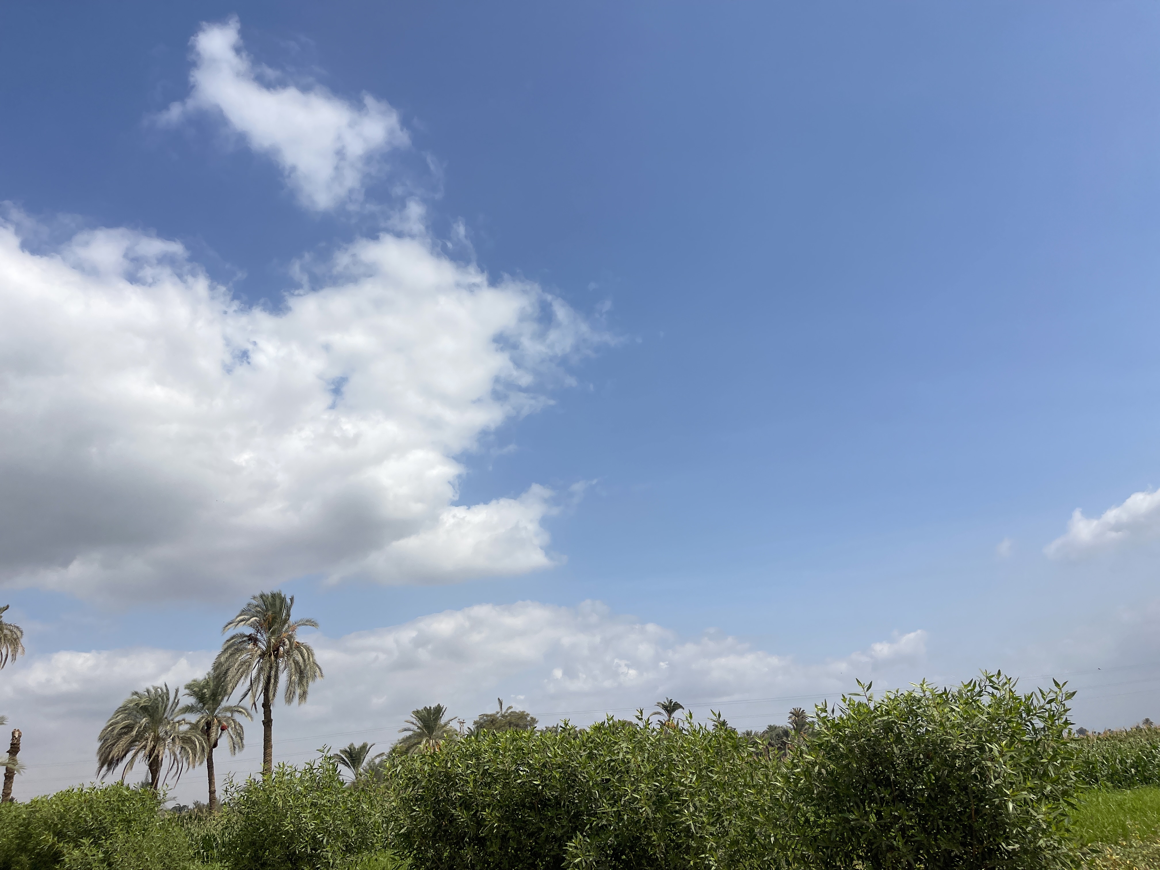 تواجد السحب بشكل متفرق