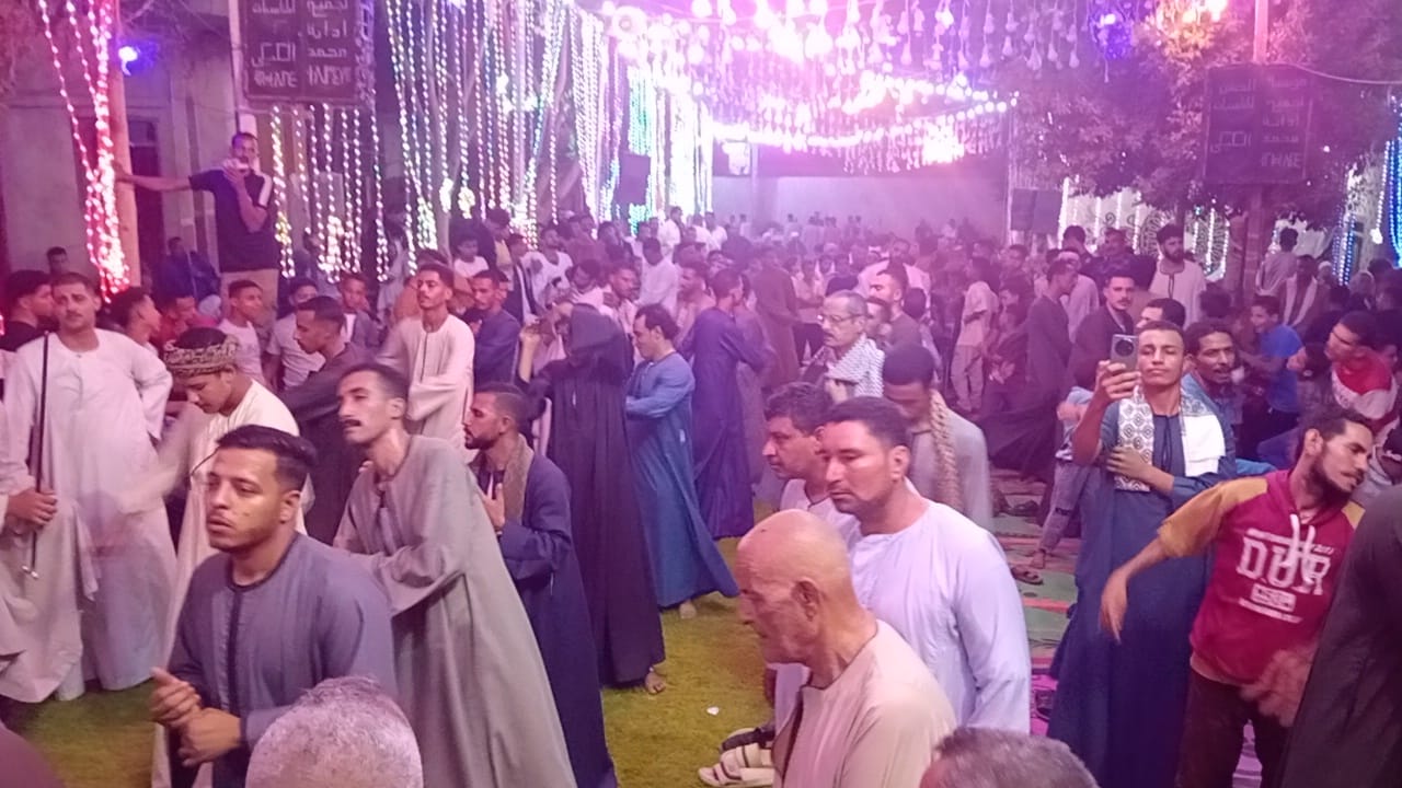 الحضور خلال الاحتفالية بمولد الهادي بقرية الهامية بأسيوط