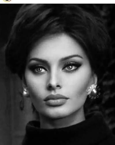 صوفيا لورين (4)