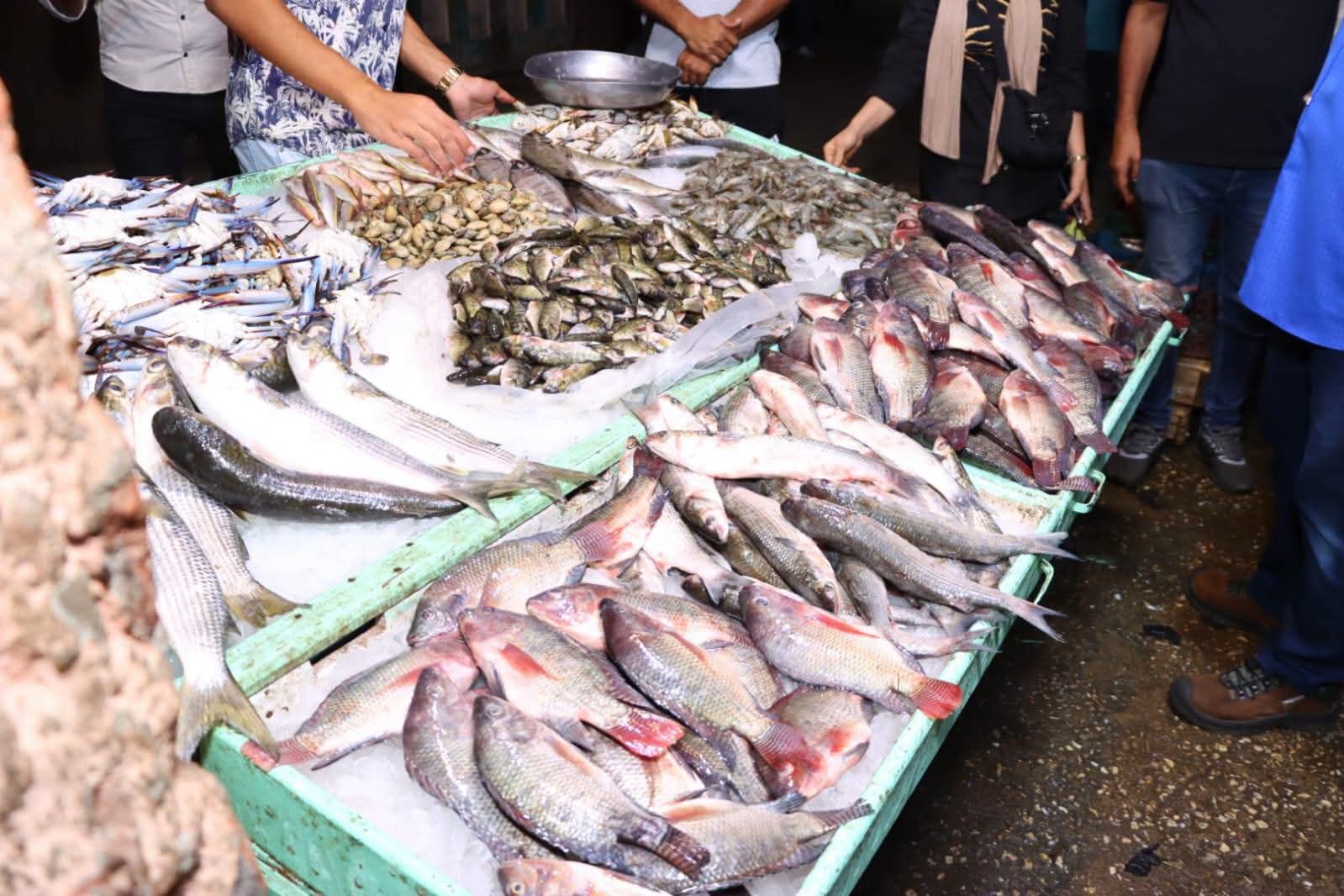 انواع الأسماك داخل عزبة البرج