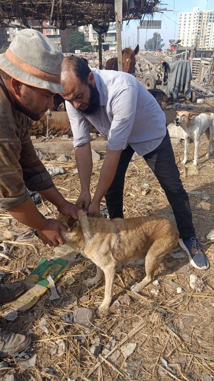 تحصين الكلاب بكفر الشيخ تحصين الكلاب بكفر الشيخ