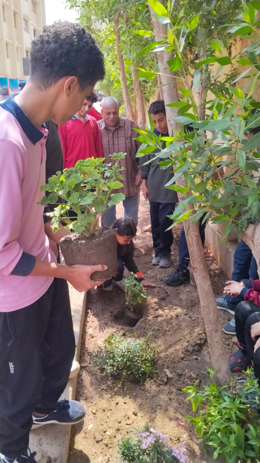 تدريب طلاب الجيزة على زراعة الأشجار (3)