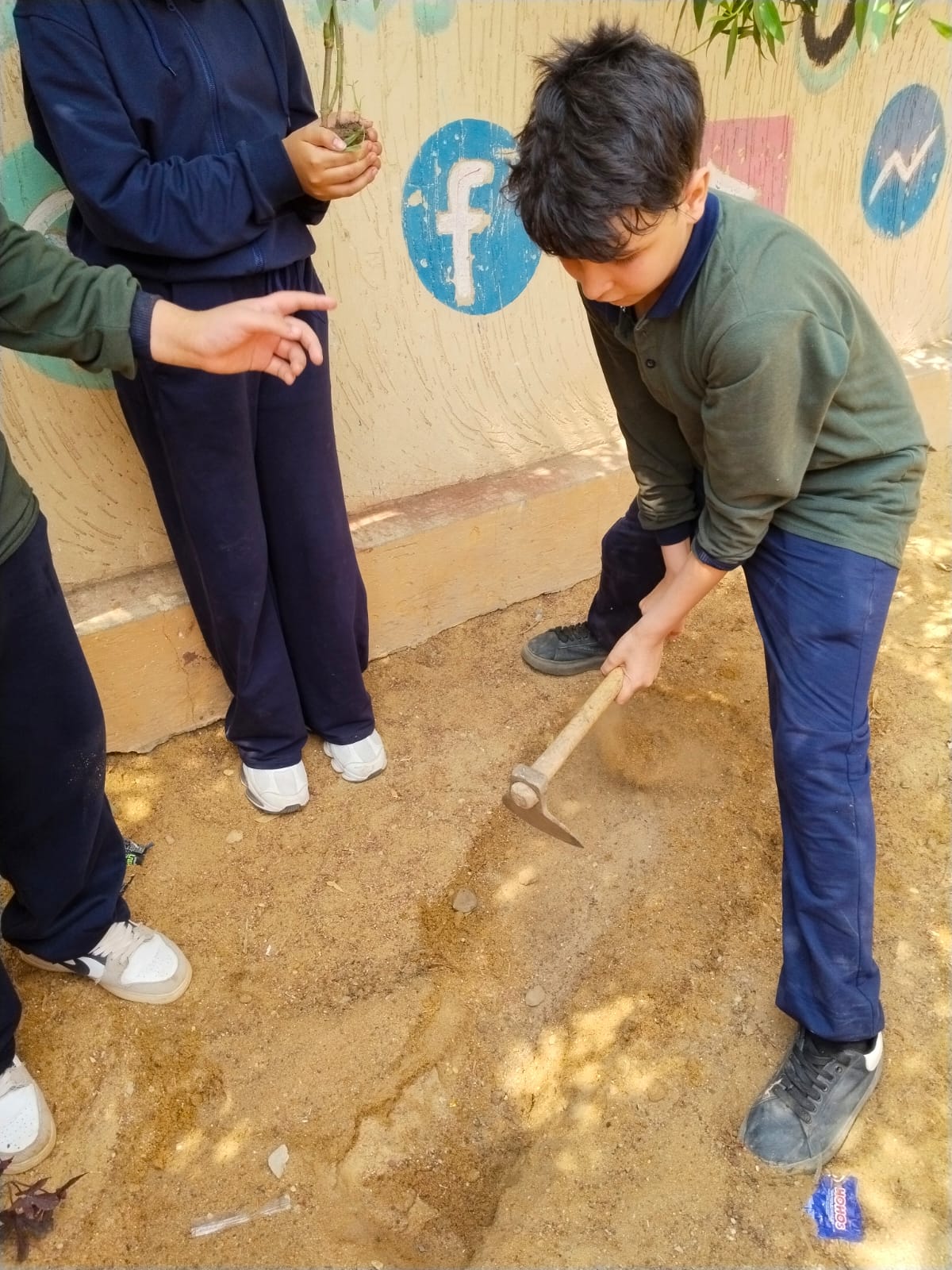 تدريب طلاب الجيزة على زراعة الأشجار (9)