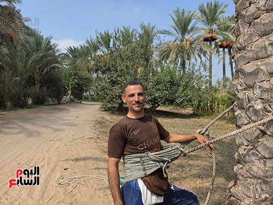 سعيد-ابو-حسن سعيد-ابو-حسن