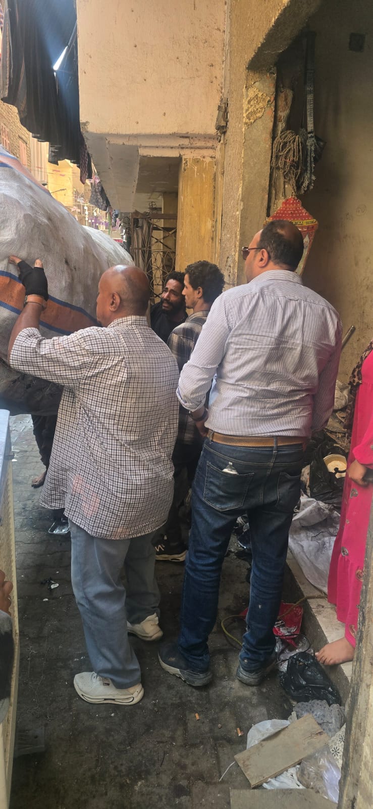 حملات على محلات الفرز في بولاق الدكرور (3)