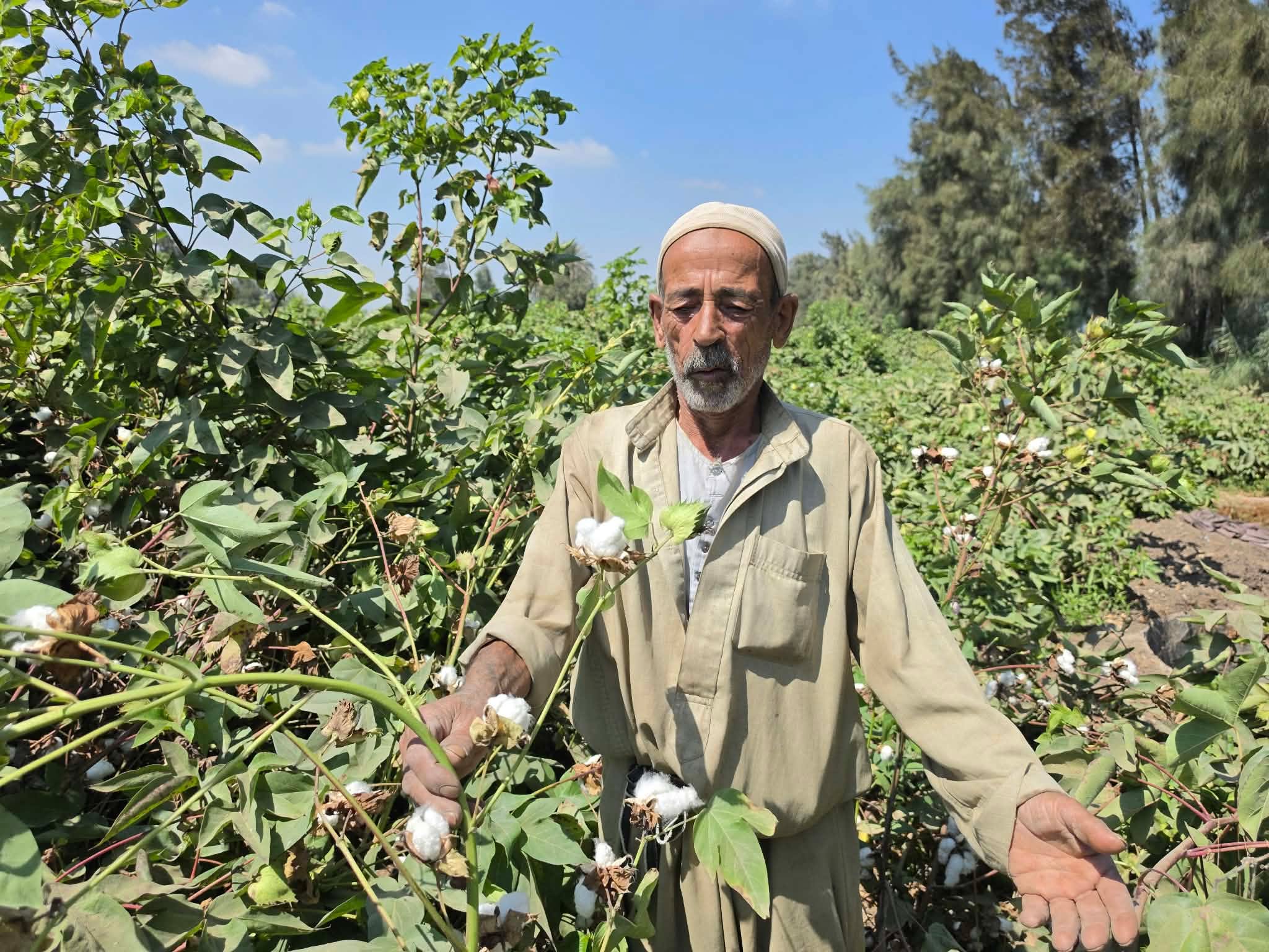 عبد الحميد عبد العظيم عبد الحميد عبد العظيم