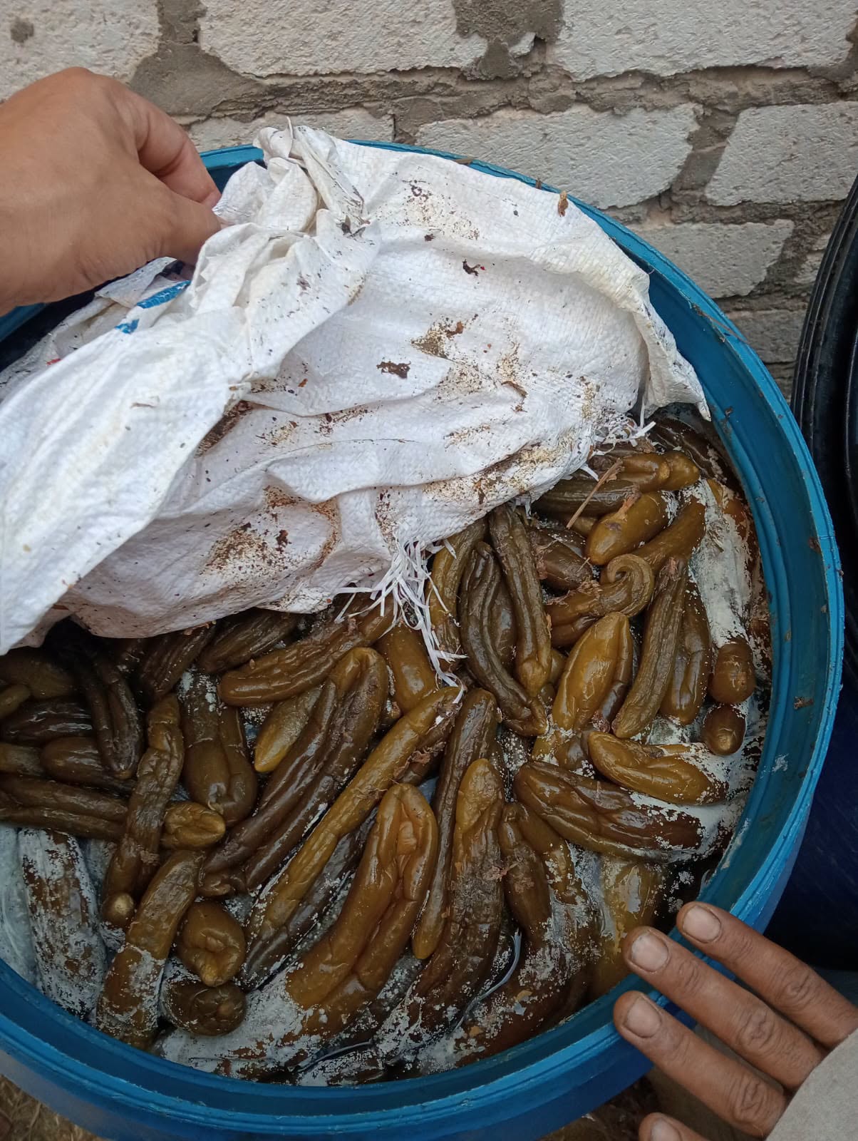 ضبط 4 أطنان مخللات مجهولة المصدر