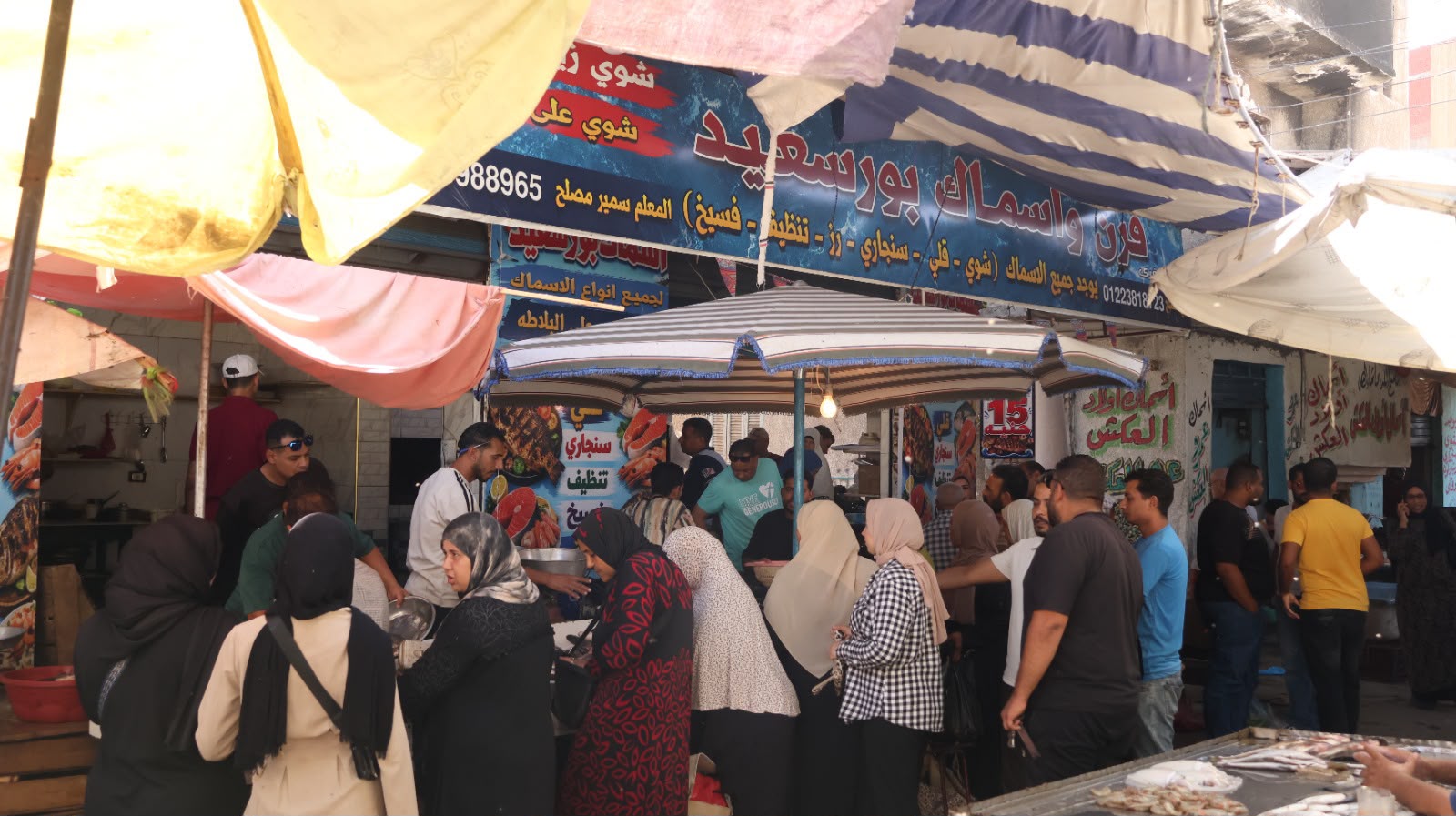 حلقة السمك