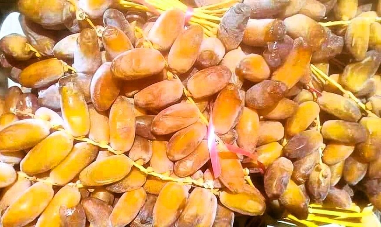 بدء حصاد البلح في سيوة بدء حصاد البلح في سيوة