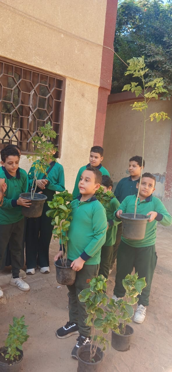 اتحضر للأخضر تنشر ثقافة التشجير بين طلاب مدارس الجيزة