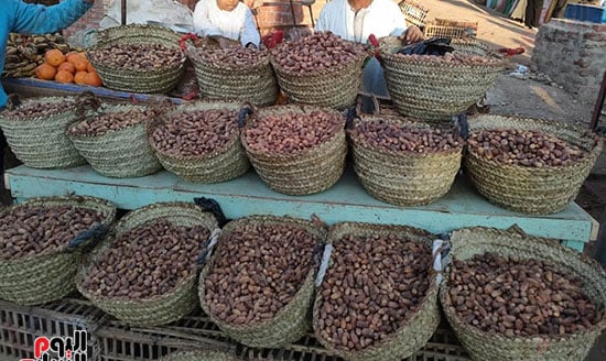 البلح-يبدأ-الإنتشار-فى-شوارع-الأقصر