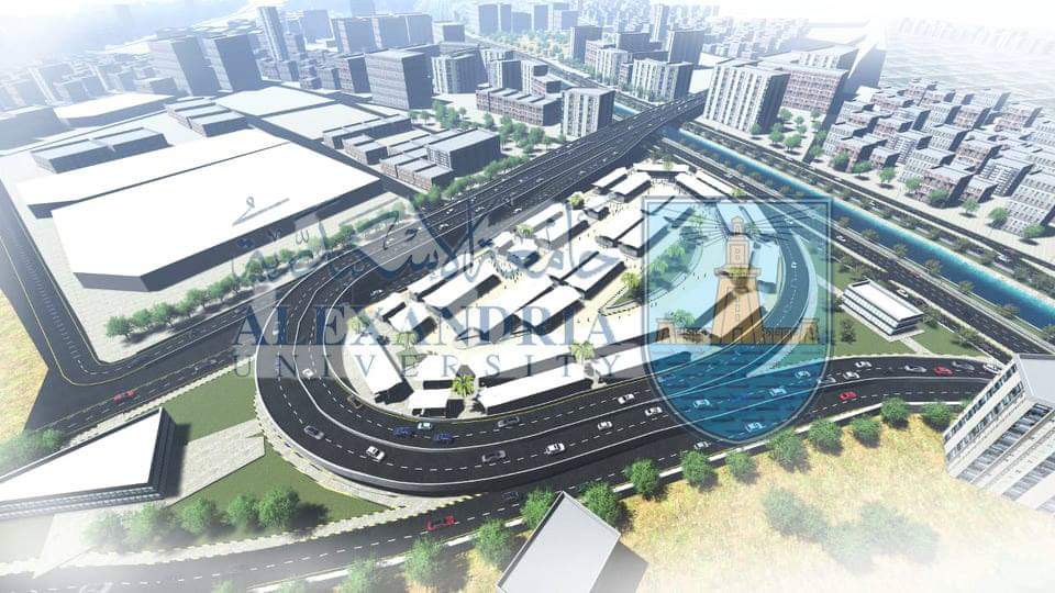 محور المحمودية بالإسكندرية (5)