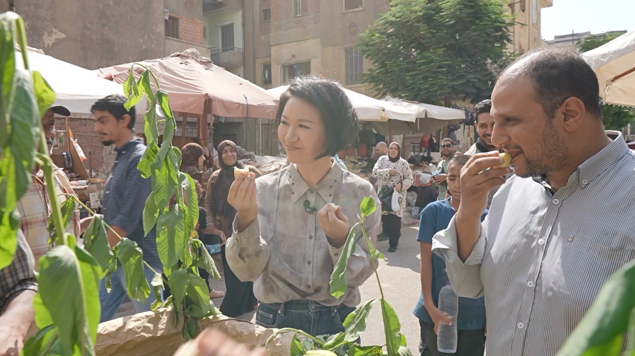 ليو شين اشهر اعلامية صينية في مصر