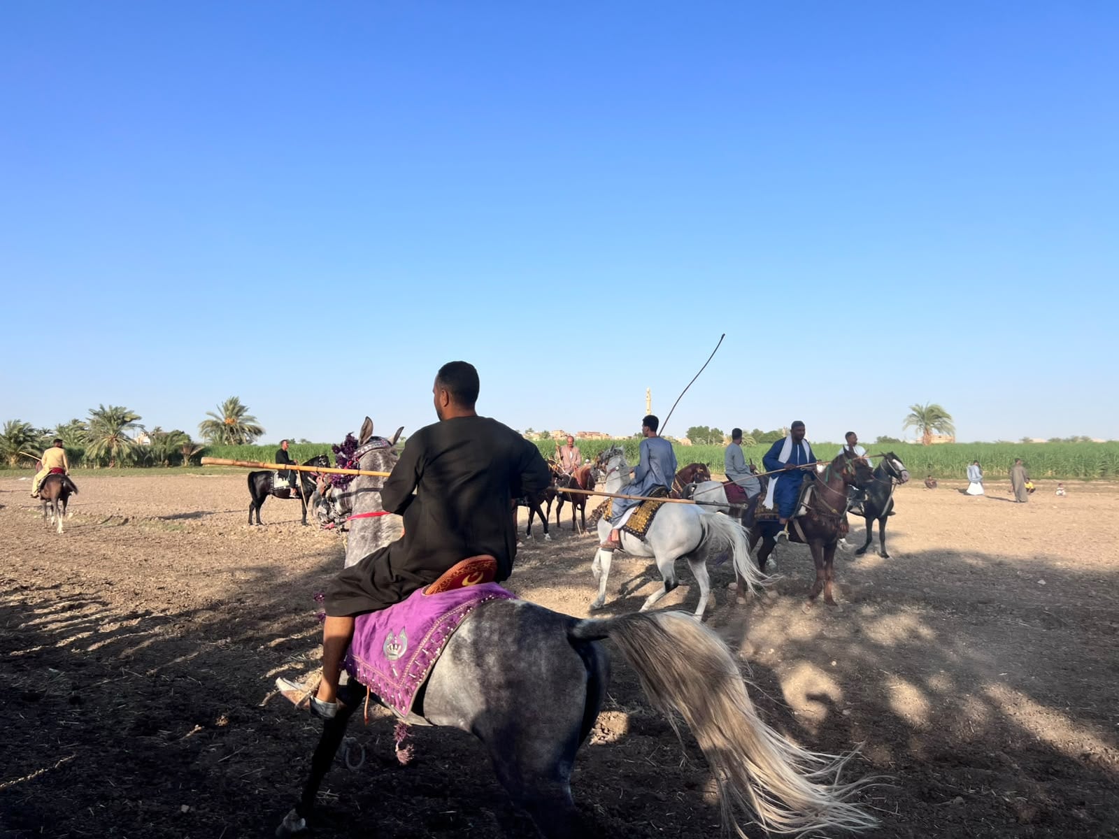 مرماح العليقات بقنا يجمع مئات الخيالة مرماح العليقات بقنا يجمع مئات الخيالة