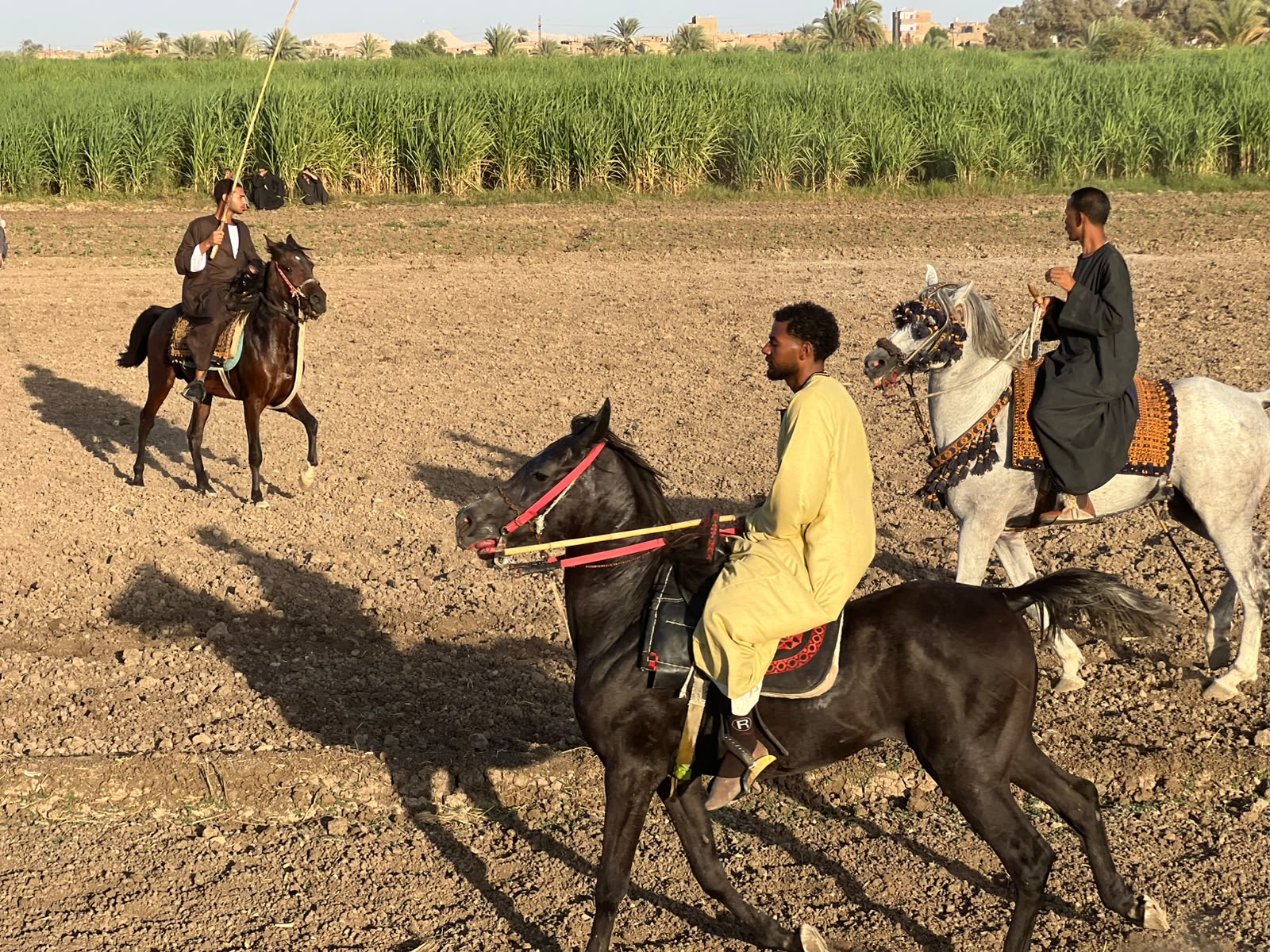 حلبة المرماح حلبة المرماح