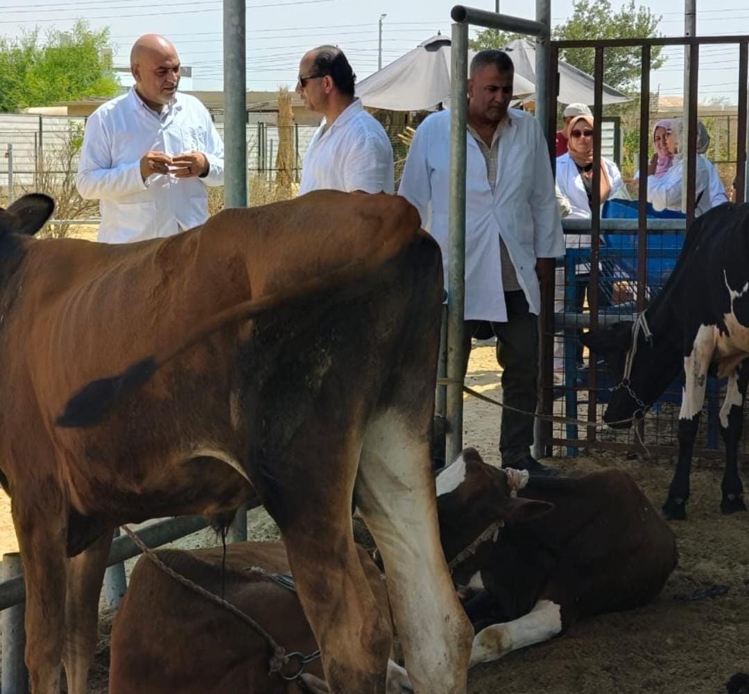أثناء أعمال التحصين
