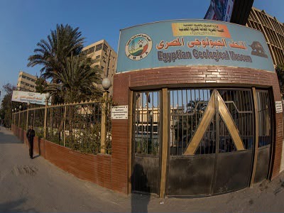 المتحف الجيولوجي المتحف الجيولوجي
