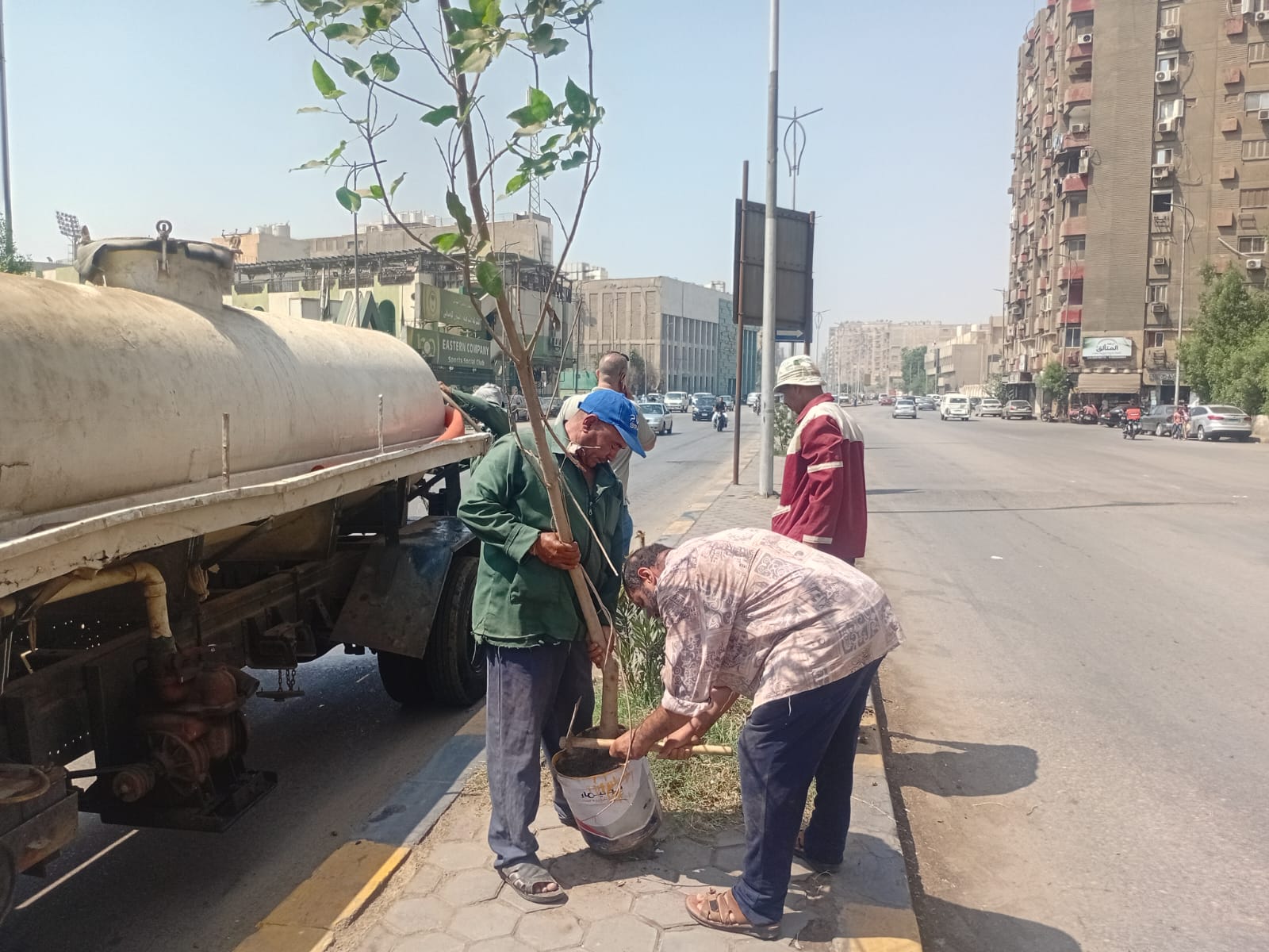 تشجير الطرق والمحاور بالجيزة تشجير الطرق والمحاور بالجيزة