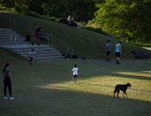 عودة المواطنين الأمريكيين للحدائق