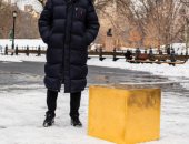 المكعب الذهبى فى سنترال بارك