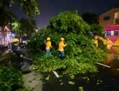 سقوط اشجار بسبب فيضانات فى السلفادور 