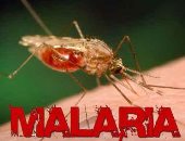 الملاريا - أرشيفية