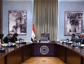 مجلس الوزراء المصرى