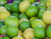 النوبة الصمغية.. كيف تؤثر على أسعار الليمون خلال الفترة المقبلة؟