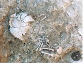 العثور على بقايا طفل مصاب بمتلازمة داون مدفونًا في منزل عمره 2800 عام في إسبانيا.