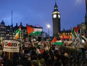 مظاهرات داعمة لفلسطين