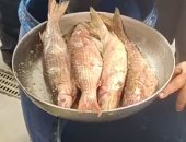  الفسيخ في الإسماعيلية