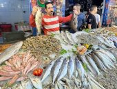 أشكال الأسماك والبحريات في سوق بورسعيد
