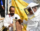 محافظ قنا يشهد إنتاج أول قطفة عسل