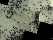 مجموعات تشبه العناكب على المريخ