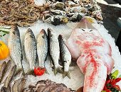 سمك ـ أرشيفية 