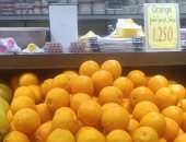 البرتقال المصري ينتشر في السوق الأردني