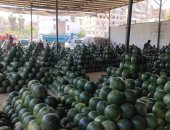 اكبر مزاد لبيع البطيخ في الإسكندرية