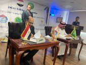 مصر والسعودية توقعان بروتوكول تعاون 