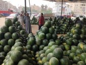 كميات وأحجام كبيرة من البطيخ في وكالة الإسكندرية