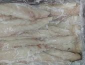 ضبط كميات من أسماك الارنب في أسواق دمياط