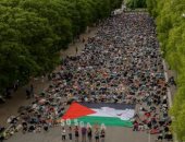 احتجاجات دعم فلسطين