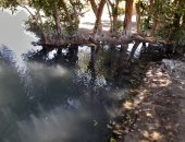 العيون الكبريتية برأس سدر