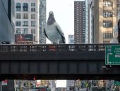 العمل الفنى