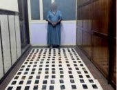 ضبط عنصر اجرامي