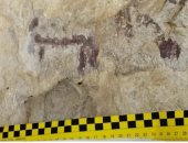 اللوحة التى اتلفها رجل إسبانى 