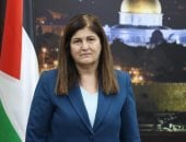 فارسين شاهين