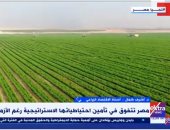 مداخلة الدكتور أشرف كمال أستاذ الاقتصاد الزراعي